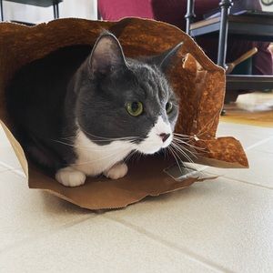 Meet your Posher, Emma